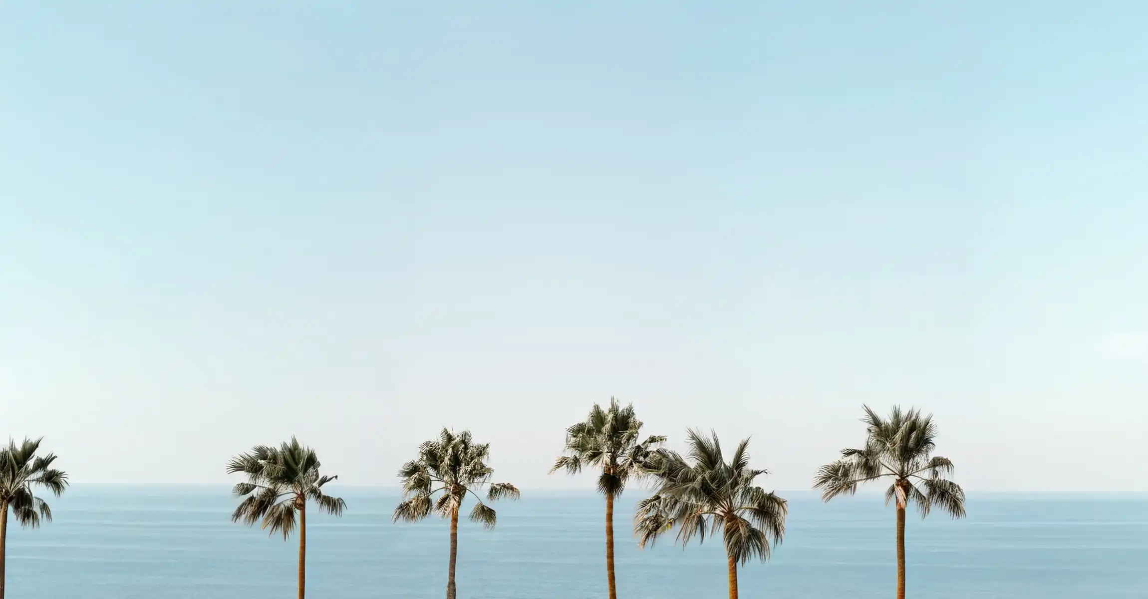 Santamonicapalms Escrow Advisors