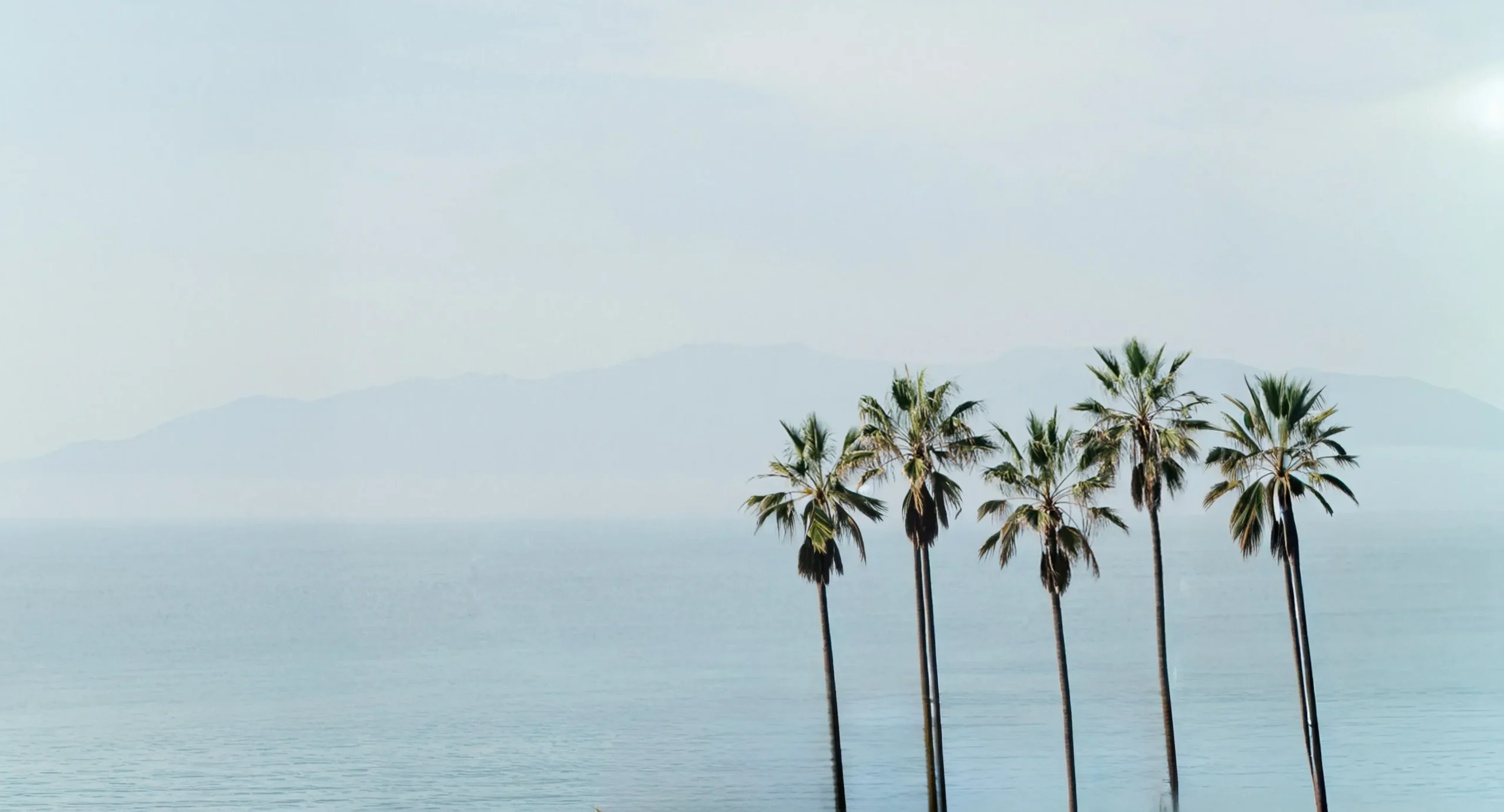 Palmtreesbythewater Escrow Advisors
